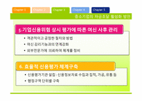 [금융제도론] 한국의 중소기업금융과 현황 분석-18