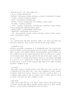 노인 성문제에 대한 연구-9