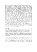 [성서] 로마서 5장 연구-18