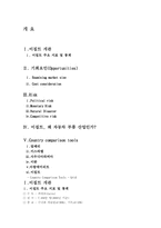[국제경영] 이집트의 자동차 부품시장-2