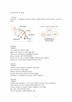 SKT & KTF 조직구조 및 문화-11