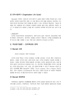 SkyCast 조직분석-9