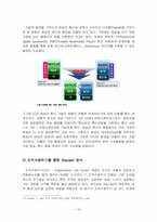 SkyCast 조직분석-16