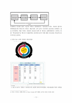 [경영정보] 서비스 사인어스-12