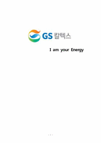 [기업재무론] GS칼텍스 재무분석 및 레버리지분석-1