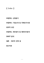 [기업재무론] GS칼텍스 재무분석 및 레버리지분석-2
