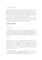 [국제경영] 휴맥스 셋톱박스의 해외 진출-8