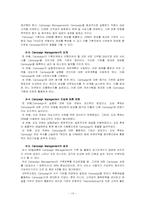 SK 텔레콤 CRM 성공사례 분석-17