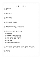 메가박스의 조직구조-2