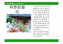 [호텔관광] 그린마케팅-8