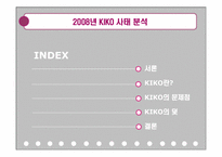 키코 KIKO 사태 분석-2