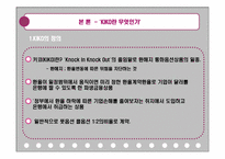 키코 KIKO 사태 분석-4