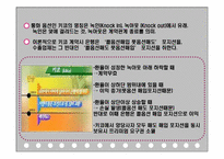 키코 KIKO 사태 분석-5