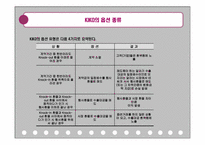 키코 KIKO 사태 분석-6