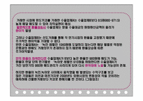 키코 KIKO 사태 분석-8