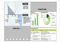 키코 KIKO 사태 분석-9