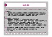 키코 KIKO 사태 분석-10