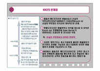 키코 KIKO 사태 분석-11