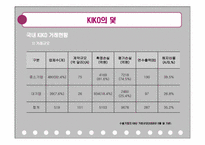 키코 KIKO 사태 분석-13