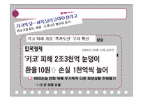키코 KIKO 사태 분석-15