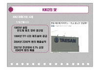 키코 KIKO 사태 분석-17