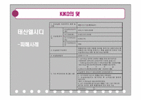키코 KIKO 사태 분석-18