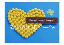 관광 서비스 불편사례-15