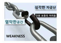 동춘서커스 마케팅분석 및 발전 방향-9