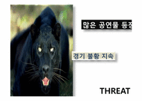 동춘서커스 마케팅분석 및 발전 방향-11
