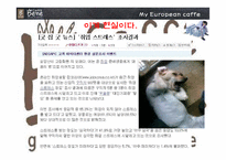 [프랜차이즈 경영론] 카페베네 커피숍 창업-2