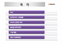 [국제경영] 한국타이어의 글로벌 전략-2