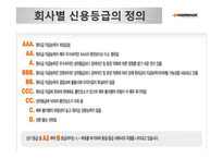 [국제경영] 한국타이어의 글로벌 전략-13
