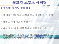 스포츠 마케팅 레포트-10