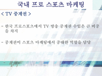 스포츠 마케팅 레포트-18