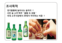 [시장조사론] 소주 봄봄의 소비자 인식 및 이용실태-3