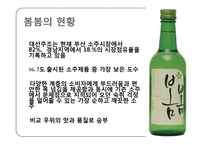 [시장조사론] 소주 봄봄의 소비자 인식 및 이용실태-15