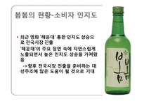 [시장조사론] 소주 봄봄의 소비자 인식 및 이용실태-16