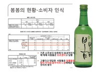 [시장조사론] 소주 봄봄의 소비자 인식 및 이용실태-20