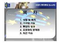 [경제통합론] 유럽의 통화통합(유로화)-2