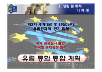 [경제통합론] 유럽의 통화통합(유로화)-3