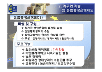 [경제통합론] 유럽의 통화통합(유로화)-13