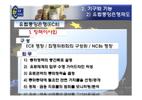 [경제통합론] 유럽의 통화통합(유로화)-14