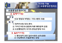 [경제통합론] 유럽의 통화통합(유로화)-15
