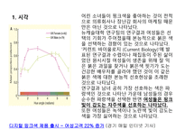 [소비자행동] 여성성 강화 트렌드에 따른 여성소비자 분석-15