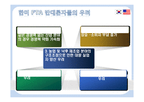 한미 FTA의 발효가 우리에게 미치는 영향-11