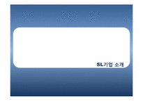 SL 기업 국제경영전략-4