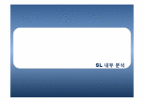 SL 기업 국제경영전략-7