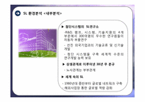 SL 기업 국제경영전략-8