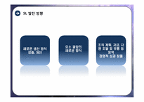 SL 기업 국제경영전략-18