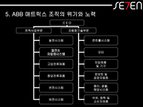 [조직구조론] ABB사 의 글로벌 매트릭스조직구조-19